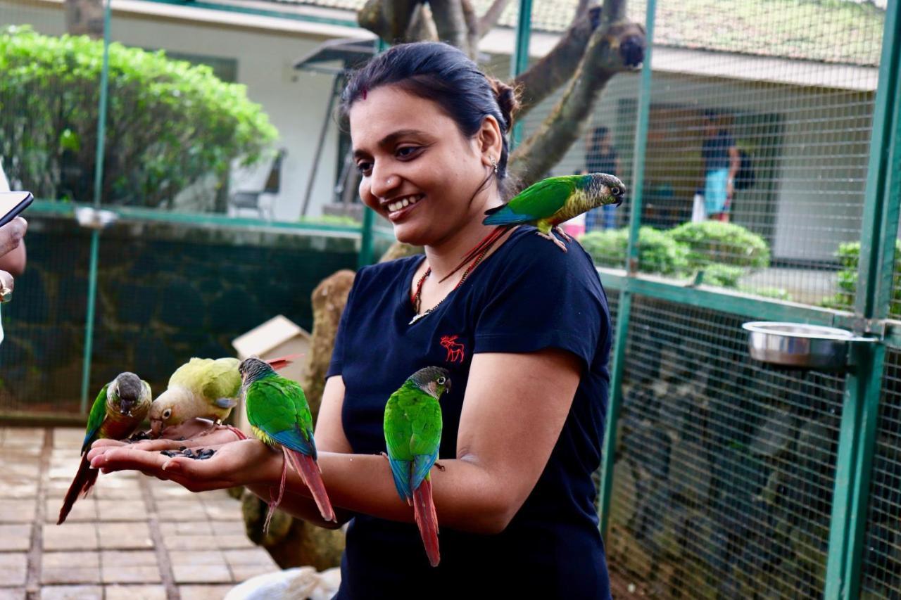 Manas Resort With Petting Zoo, Igatpuri Kültér fotó
