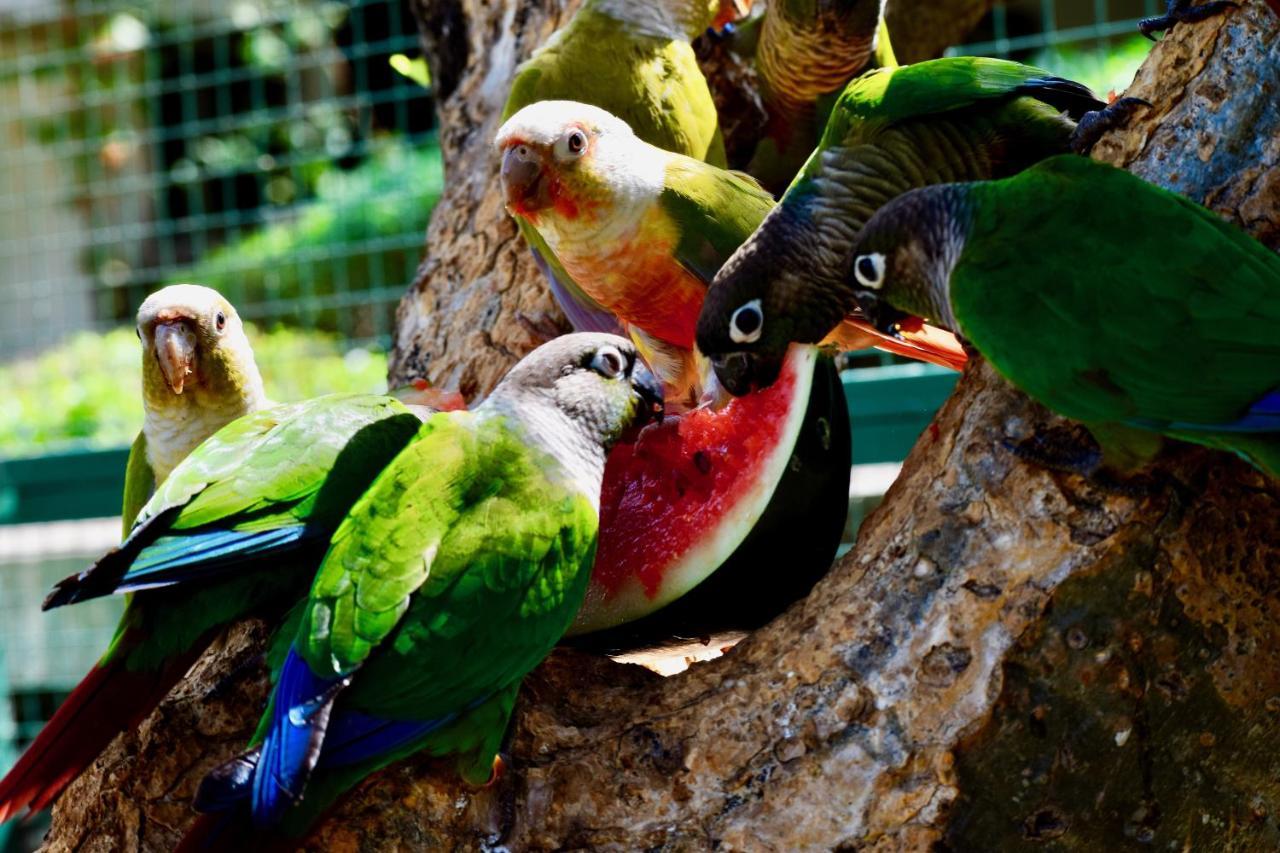 Manas Resort With Petting Zoo, Igatpuri Kültér fotó